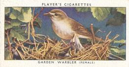 1937 Player's Birds & Their Young #44 Garden Warbler Front