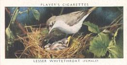 1937 Player's Birds & Their Young #47 Lesser Whitethroat Front