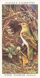 1937 Player's Birds & Their Young #48 Wood Warbler Front