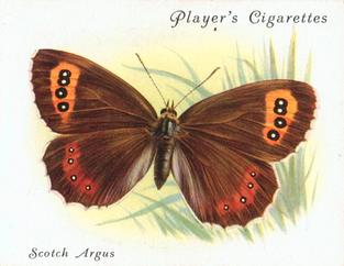 1934 Player's British Butterflies #1 Scotch Argus Front