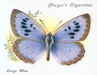 1934 Player's British Butterflies #3 Large Blue Front
