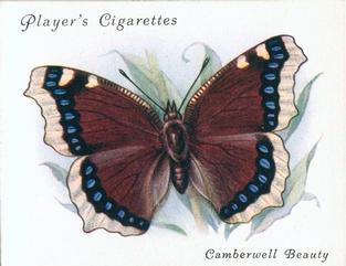 1934 Player's British Butterflies #6 Camberwell Beauty Front