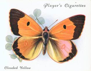 1934 Player's British Butterflies #7 Clouded Yellow Front