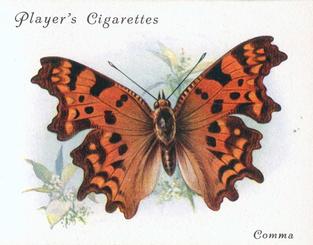 1934 Player's British Butterflies #8 Comma Front