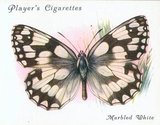 1934 Player's British Butterflies #13 Marbled White Front
