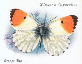 1934 Player's British Butterflies #14 Orange Tip Front