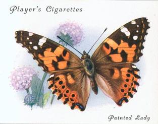 1934 Player's British Butterflies #15 Painted Lady Front