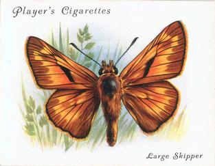 1934 Player's British Butterflies #22 Large Skipper Front