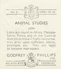 1936 Godfrey Phillips Animal Studies #3 Lion Back