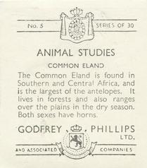 1936 Godfrey Phillips Animal Studies #5 Common Eland Back