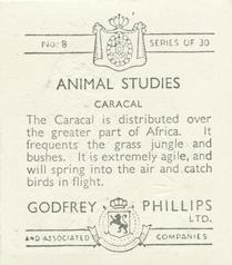 1936 Godfrey Phillips Animal Studies #8 Caracal Back