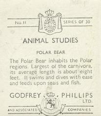 1936 Godfrey Phillips Animal Studies #11 Polar Bear Back