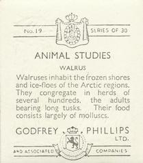 1936 Godfrey Phillips Animal Studies #19 Walrus Back
