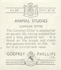 1936 Godfrey Phillips Animal Studies #20 Common Otter Back