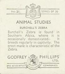 1936 Godfrey Phillips Animal Studies #21 Burchell's Zebra Back