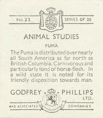 1936 Godfrey Phillips Animal Studies #23 Puma Back