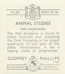 1936 Godfrey Phillips Animal Studies #25 Red Kangaroo Back