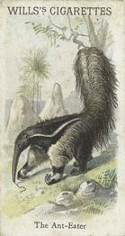 1900 Wills's Cigarettes Animals & Birds (Descriptive) #NNO Anteater Front