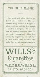 1900 Wills's Cigarettes Animals & Birds (Descriptive) #NNO Blue Magpie Back