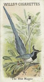 1900 Wills's Cigarettes Animals & Birds (Descriptive) #NNO Blue Magpie Front