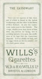 1900 Wills's Cigarettes Animals & Birds (Descriptive) #NNO Cassowary Back