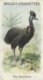 1900 Wills's Cigarettes Animals & Birds (Descriptive) #NNO Cassowary Front