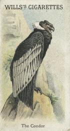 1900 Wills's Cigarettes Animals & Birds (Descriptive) #NNO Andean Condor Front