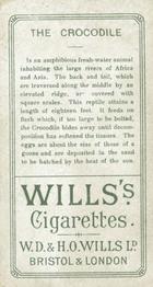 1900 Wills's Cigarettes Animals & Birds (Descriptive) #NNO Crocodile Back