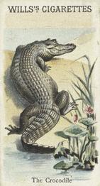 1900 Wills's Cigarettes Animals & Birds (Descriptive) #NNO Crocodile Front