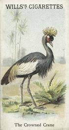1900 Wills's Cigarettes Animals & Birds (Descriptive) #NNO Crowned Crane Front