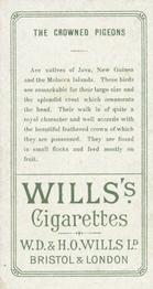 1900 Wills's Cigarettes Animals & Birds (Descriptive) #NNO Crowned Pigeons Back