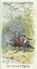 1900 Wills's Cigarettes Animals & Birds (Descriptive) #NNO Crowned Pigeons Front