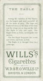1900 Wills's Cigarettes Animals & Birds (Descriptive) #NNO Eagle Back