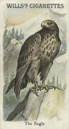 1900 Wills's Cigarettes Animals & Birds (Descriptive) #NNO Eagle Front