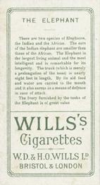 1900 Wills's Cigarettes Animals & Birds (Descriptive) #NNO Elephant Back