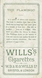 1900 Wills's Cigarettes Animals & Birds (Descriptive) #NNO Flamingo Back