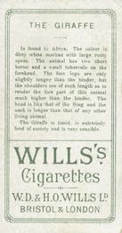 1900 Wills's Cigarettes Animals & Birds (Descriptive) #NNO Giraffe Back