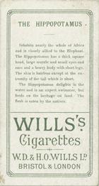 1900 Wills's Cigarettes Animals & Birds (Descriptive) #NNO Hippopotamus Back