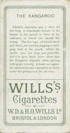 1900 Wills's Cigarettes Animals & Birds (Descriptive) #NNO Kangaroo Back