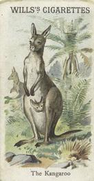 1900 Wills's Cigarettes Animals & Birds (Descriptive) #NNO Kangaroo Front