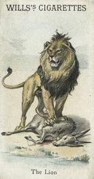 1900 Wills's Cigarettes Animals & Birds (Descriptive) #NNO Lion Front
