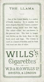 1900 Wills's Cigarettes Animals & Birds (Descriptive) #NNO Llama Back