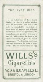 1900 Wills's Cigarettes Animals & Birds (Descriptive) #NNO Lyre Bird Back