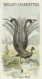 1900 Wills's Cigarettes Animals & Birds (Descriptive) #NNO Lyre Bird Front