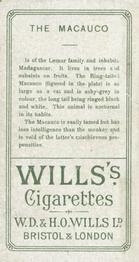 1900 Wills's Cigarettes Animals & Birds (Descriptive) #NNO Macauco Back