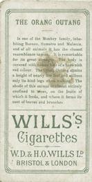 1900 Wills's Cigarettes Animals & Birds (Descriptive) #NNO Orang Outang Back