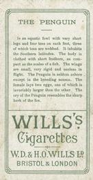1900 Wills's Cigarettes Animals & Birds (Descriptive) #NNO Penguin Back
