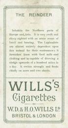 1900 Wills's Cigarettes Animals & Birds (Descriptive) #NNO Reindeer Back
