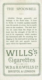 1900 Wills's Cigarettes Animals & Birds (Descriptive) #NNO Spoonbill Back
