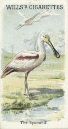 1900 Wills's Cigarettes Animals & Birds (Descriptive) #NNO Spoonbill Front